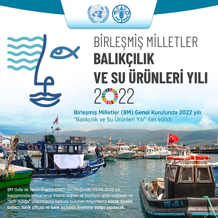 Birleşmiş Milletler 2022 yılını ''Balıkçılık Ve Su Ürünleri Yılı'' ilan etti